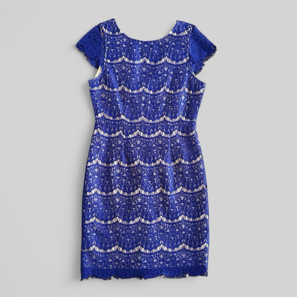 Darling‎ Vintage Blue Candice Lace Dress size Med special event office siren 952